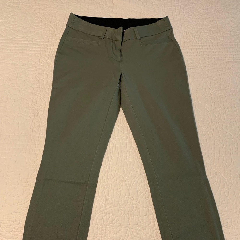 Dress pants